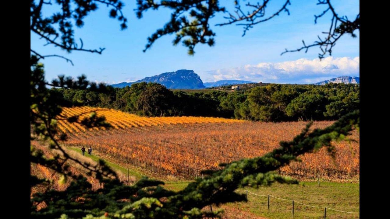 Gite Du Domaine Saint Jean De L'Arbousier Castries Ngoại thất bức ảnh